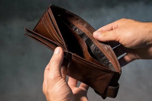 Many Austrians report income losses while feeling politically unrepresented